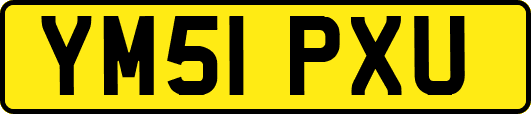 YM51PXU