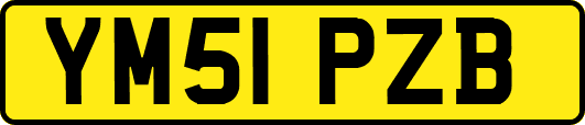 YM51PZB