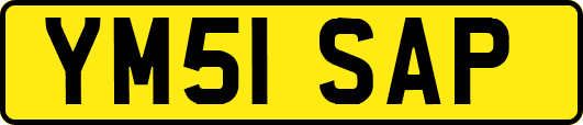 YM51SAP