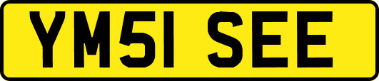 YM51SEE