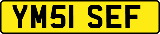 YM51SEF