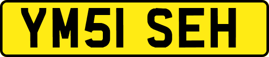 YM51SEH