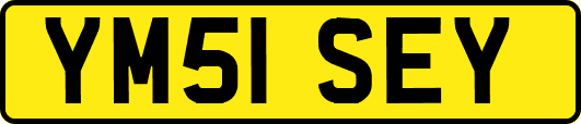 YM51SEY