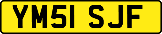 YM51SJF