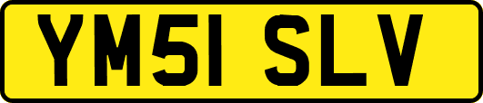 YM51SLV