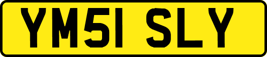 YM51SLY