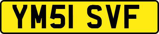 YM51SVF