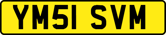 YM51SVM