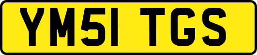 YM51TGS
