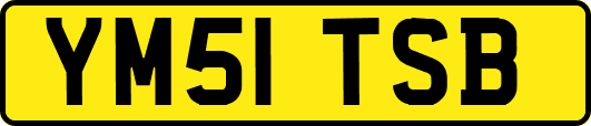 YM51TSB