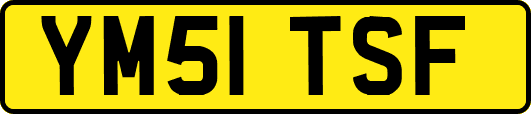 YM51TSF