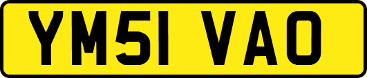 YM51VAO