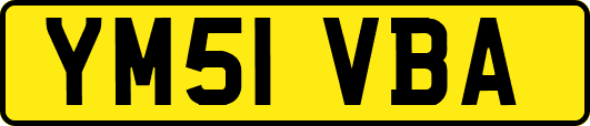 YM51VBA