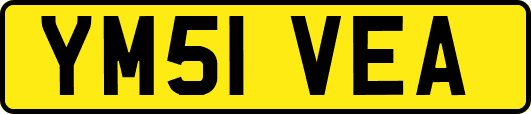 YM51VEA