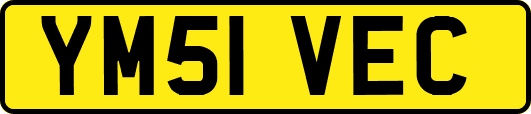 YM51VEC