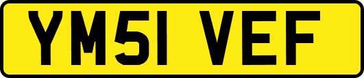 YM51VEF
