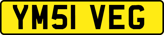 YM51VEG
