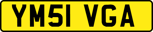 YM51VGA