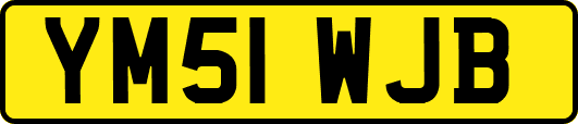 YM51WJB