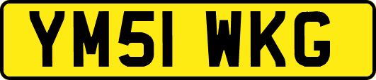 YM51WKG