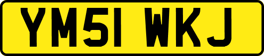 YM51WKJ