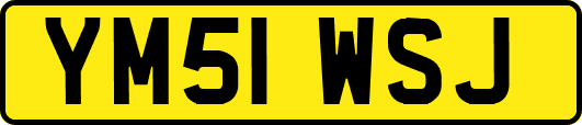 YM51WSJ