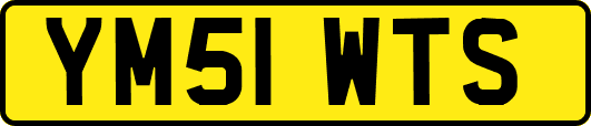 YM51WTS