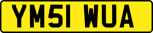 YM51WUA