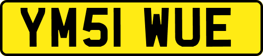 YM51WUE