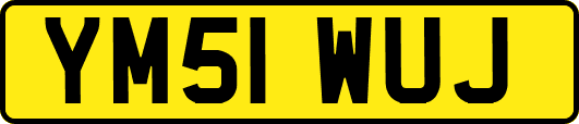 YM51WUJ