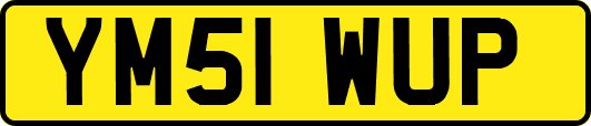 YM51WUP