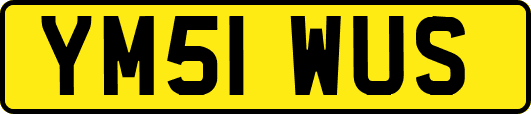 YM51WUS