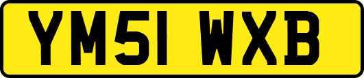 YM51WXB