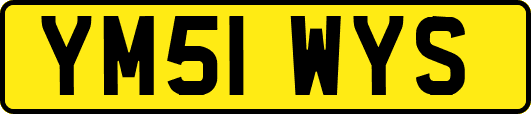 YM51WYS