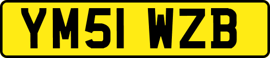 YM51WZB