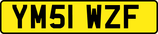 YM51WZF