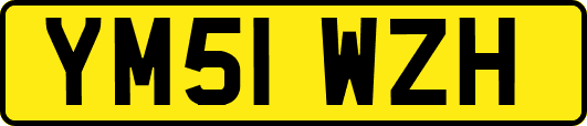 YM51WZH