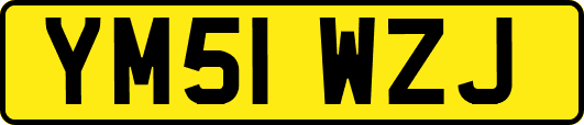 YM51WZJ