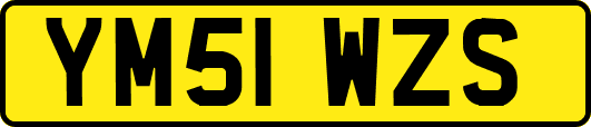 YM51WZS