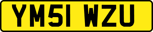 YM51WZU