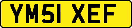 YM51XEF