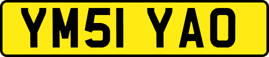 YM51YAO