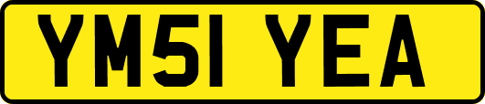 YM51YEA