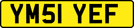 YM51YEF