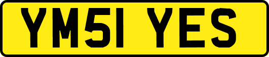 YM51YES
