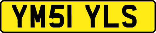 YM51YLS