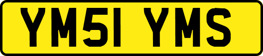 YM51YMS
