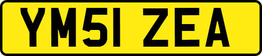 YM51ZEA