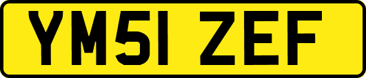 YM51ZEF