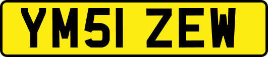 YM51ZEW